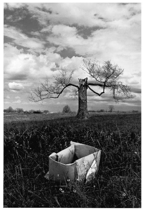 Miasteczko Salem Salem S Lot Jerry Uelsmann