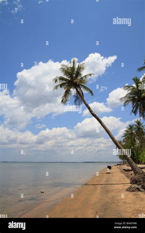 Sri Lanka East Coast Beach At Kinniya Near Trincomalee With Leaning