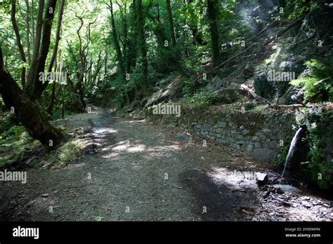 Heaven In The Mount Ida In Turkish Kazdagi Meaning Goose Mountain