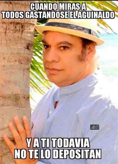 ¿de Dónde Salió El Meme De Juan Gabriel Detrás De Una Palmera