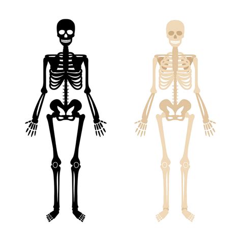 Halloween Skeleton Clipart Clipart World