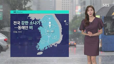 날씨 전국 강한 소나기 주의동해안 최고 60mm 비