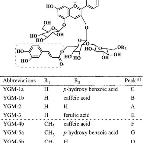 Chemical Structure Of Major Anthocyanins In Purple Fleshed Sweet Potato