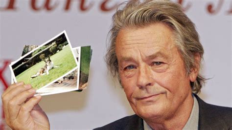 Alain Delons Umstrittener Wunsch Sch Ferhund Loubo Sollte Sterben