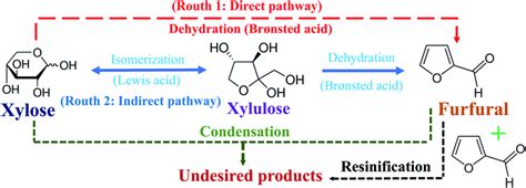 Direct And Indirect Pathways Of Furfural Production From Xylose