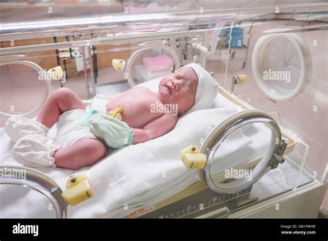 New Born Baby In The Hospital Incubator Stock Photo Alamy