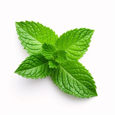 Premium Photo Fresh Mint Leaves Isolated On White Background