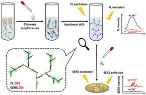 A Novel Dual Mode Aptasensor Based On A Multiple Amplification System