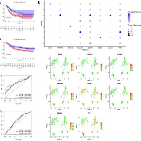 Generation Evaluation And Validation Of A Prognostic Risk Scoring