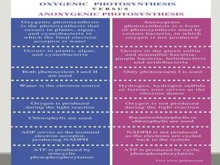 PHOTOSYNTHETIC BACTERIA (OXYGENIC AND ANOXYGENIC) | PPT