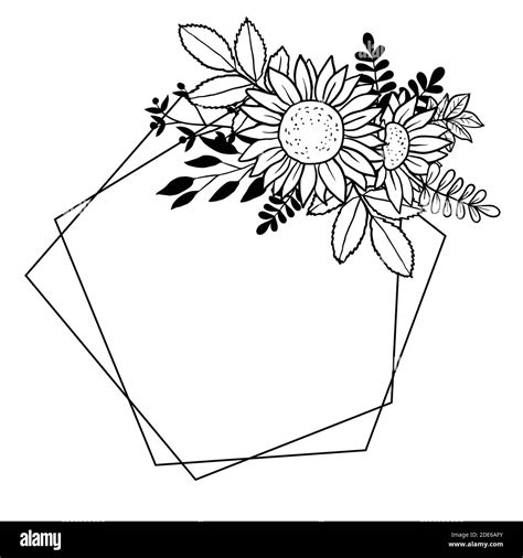 Vector Image Of Hand Drawn Sunflowers Stock Vector Image Art Alamy