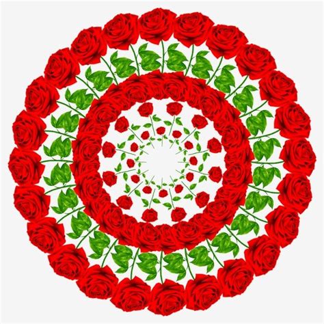 Red Circle Shape White Transparent Red Rose Circle Shape Png Rose