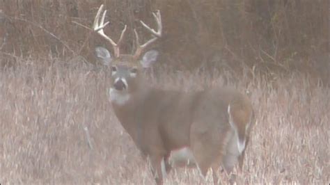 Iowa Public Land Bowhunt November Youtube