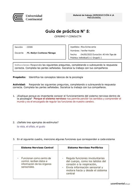 Gu A De Trabajo N Psicologia Gu A De Prctica N Cerebro Y