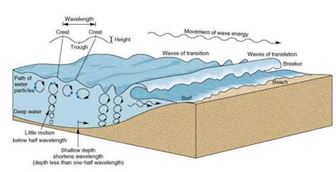 1 2 Modification De La Forme Des Vagues Et Des Vitesses Orbitales Des