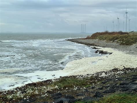 Kalootstrand Borssele Door Astrid Vergeer Borssele Kaloot Flickr