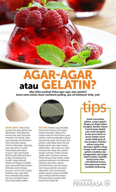 Agar Agar Atau Gelatin