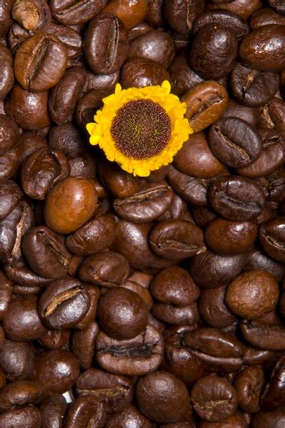 Premium Photo Texture With Coffee Beans And Sunflower