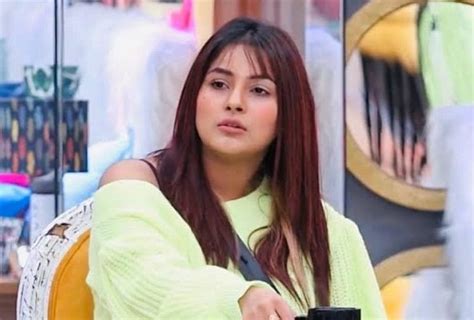 Bigg Boss 13 Shehnaz Gill Will Soon Be In A New Reality Show