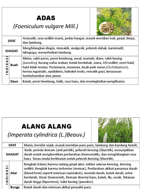 Papan Nama Tanaman Obat Kanaan Pdf