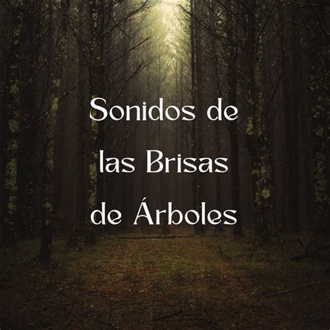 Sonidos De Las Brisas De Árboles Album by Sonidos Del Bosques Spotify