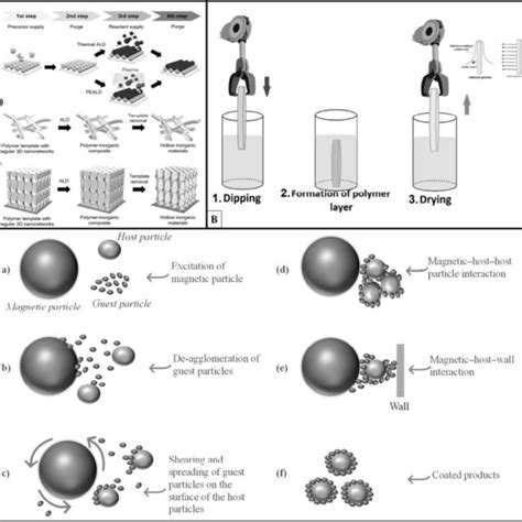 Schematic Representation Of A Atomic Layer Deposition [58 59] B Download Scientific