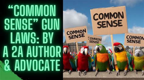 Common Sense Gun Laws By A Second Amendment Author Advocate