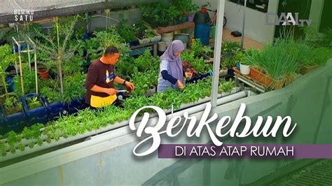 Berkebun Di Atas Atap Rumah Bumiku Satu Part 1 YouTube