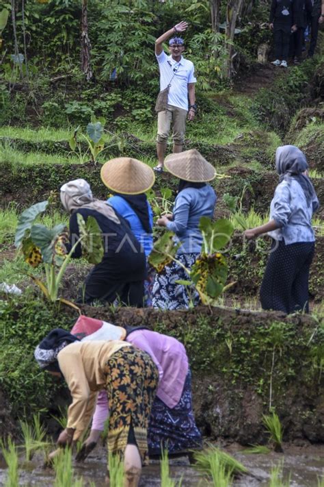 Menparekraf Kunjungi Desa Wisata Di Ciamis Antara Foto