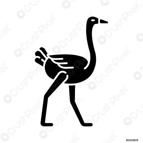 Struisvogel Black Glyph Pictogram Stock Vector 2434839 Crushpixel