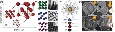 Dna Nanoparticle Assembly Enables Unprecedented Control Over Photonic