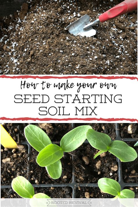 How To Make A Seed Starting Soil Mix 2024 Rooted Revival