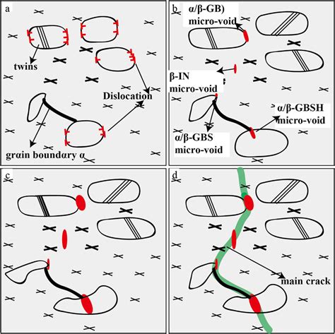 E Fracture Model Of BM A Deformed BM B Micro Void Nucleation