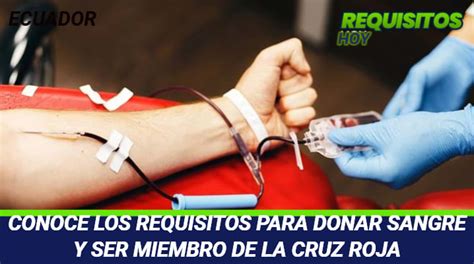 Requisitos Para Donar Sangre En Ecuador Gu A