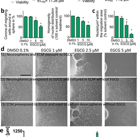 EGCG prevents laminin binding to integrin β1 a RT PCR of 48 h