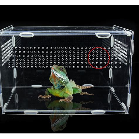 Transparent Acrylic Reptile Box For Spiders Tortoi Grandado