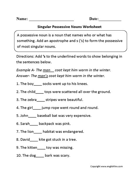 Plural And Singular Possessive Nouns Worksheet Singular Poss