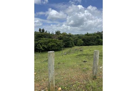 Rio Abajo Puerto Rico Venta Bienes Ra Ces Ceiba Puerto Rico Real