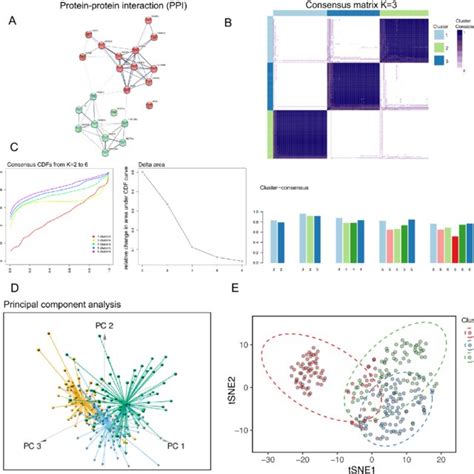 Consensus Clustering Analysis And Preliminary Functional Modality Download Scientific Diagram