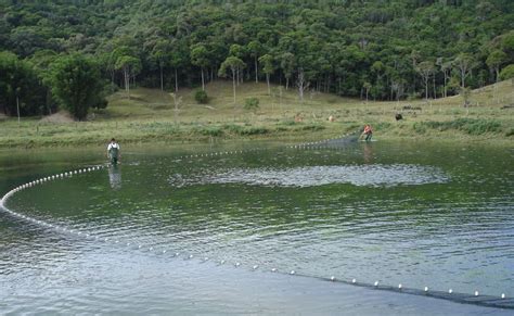 Produto Engepesca Redes Para Aquicultura