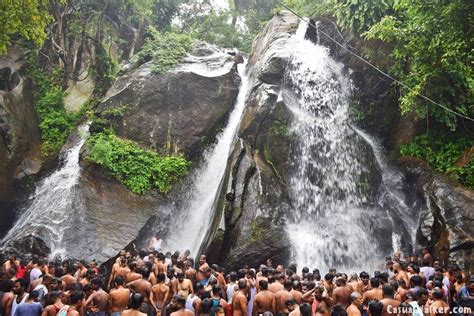 Aintharuvi Waterfalls : Five Falls, Courtallam in Tenkasi - Best WaterFalls in Courtallam ...