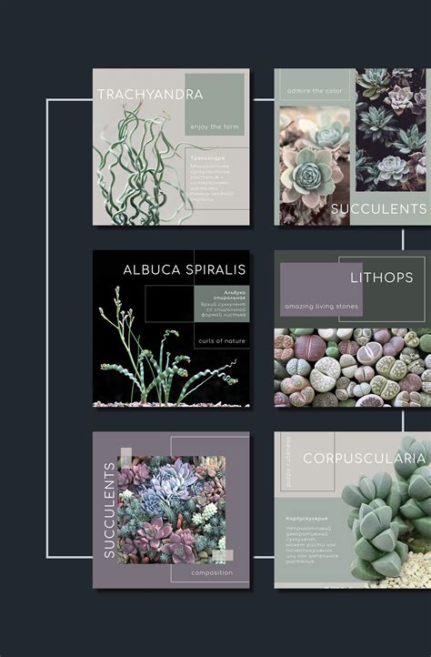 Графический дизайн on Behance