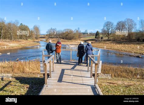 Los Turistas Admiran La Confluencia De Los R Os Brigach Y Breg Que