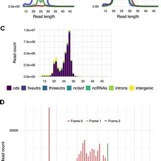 Ribo Seq Workflow And Representative Gel Images A Ribo Seq Overview A