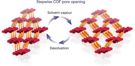 Dynamic Two Dimensional Covalent Organic Frameworks Nature Chemistry