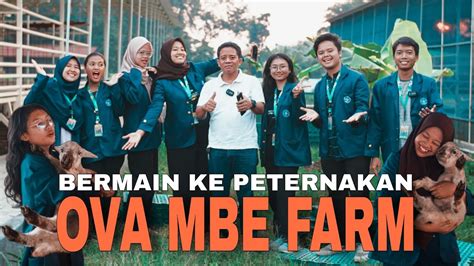 Mahasiswa KKN Dari IPB Berkunjung Ke Peternakan Breeding Domba Tegal