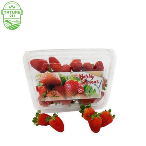 Strawberry Premium Cameron Highlands 250G - Nature2U