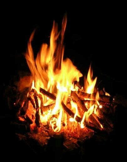 hobbithuisje ardennen vakantie huisjes cursusruimte