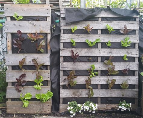 Vertical Salad Planter