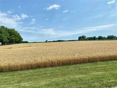 Riding The Sarnia Lambton Loop With Ontario By Bike — Travelingmitch